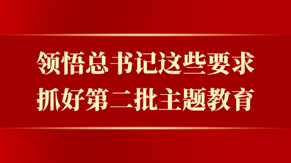 领悟总书记这些要求，抓好第二批主题教育